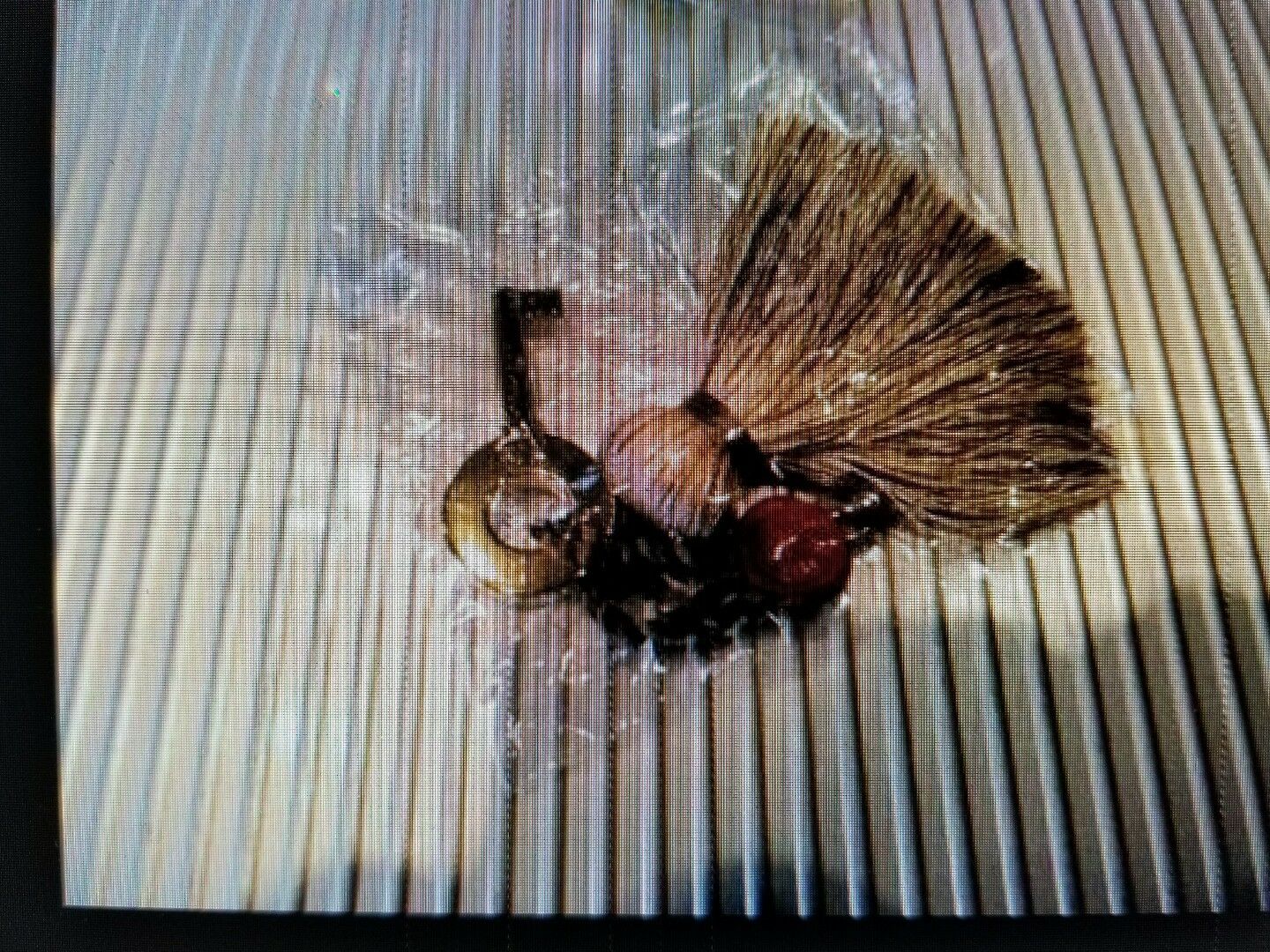 Elie Bleu Gold Plated Original Replacement Humidor Key