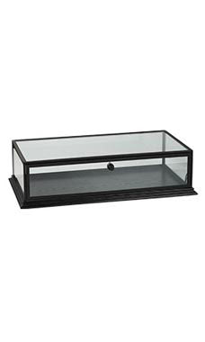 Black Countertop Display Case