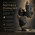 Mark Hopkins Bronze — Natural Harmony (Serial #156)
