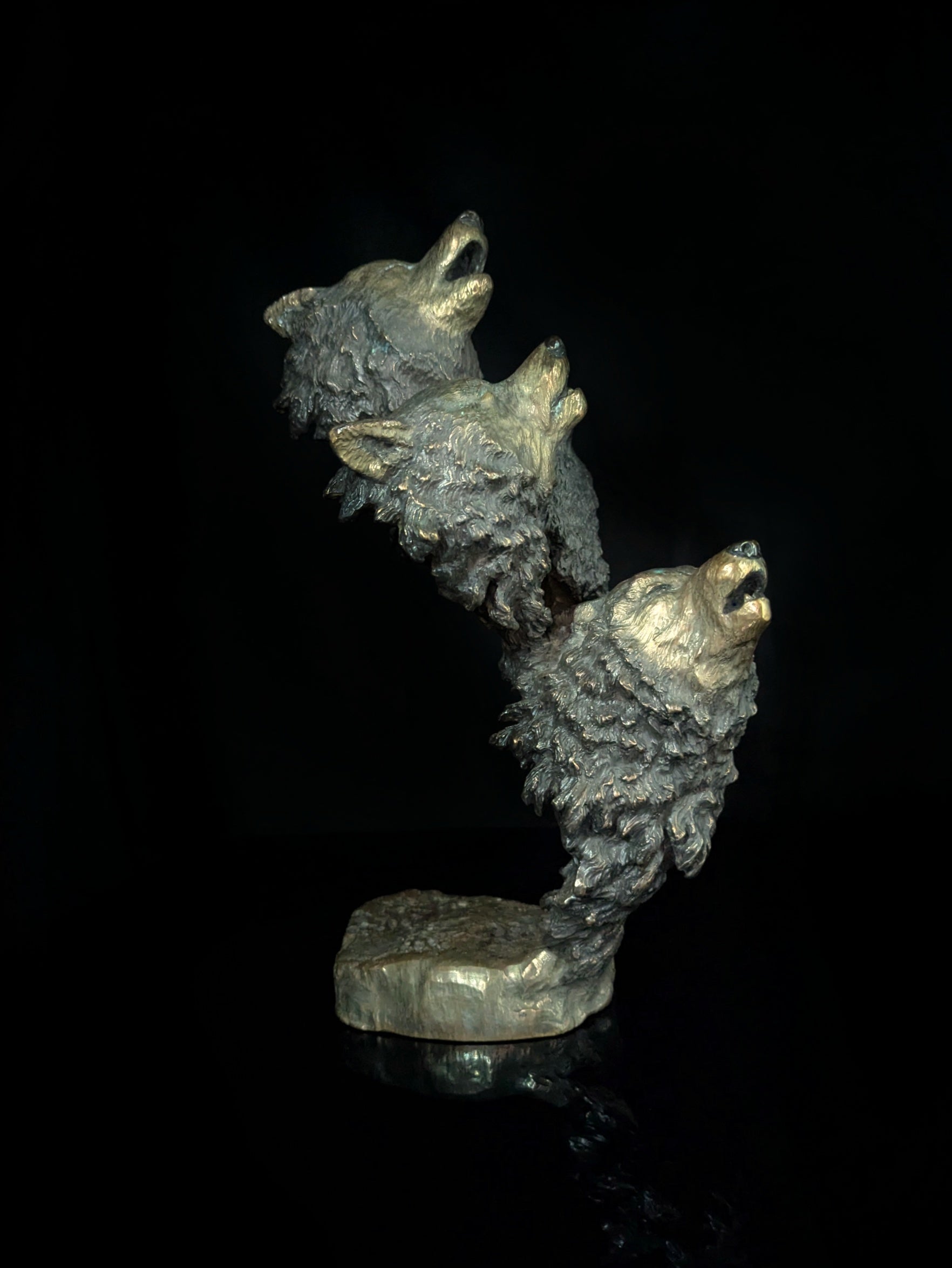 Mark Hopkins Bronze — Natural Harmony (Serial #156)