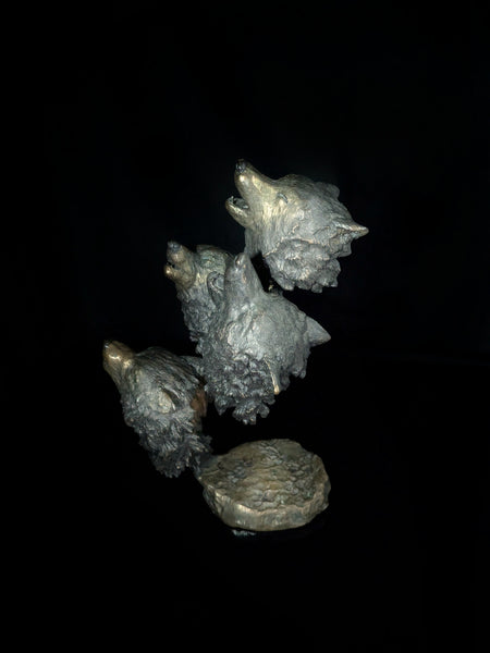 Mark Hopkins bronze / Natural Harmony