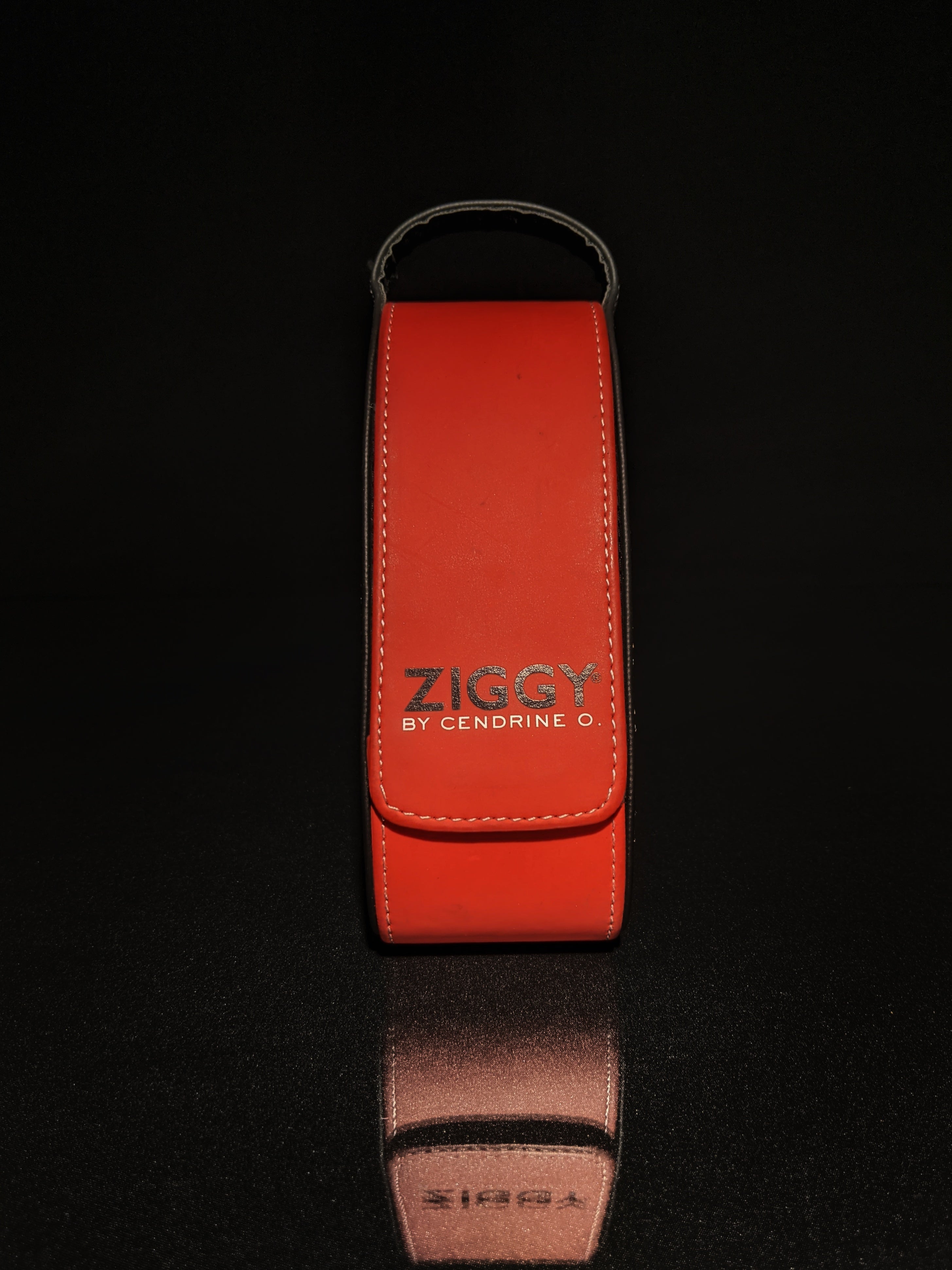 Ziggy By Cendrine O. | ZIGGY 1065 C1 57-22-135
