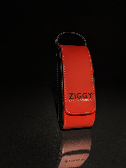 Ziggy By Cendrine O. | ZIGGY 1065 C1 57-22-135