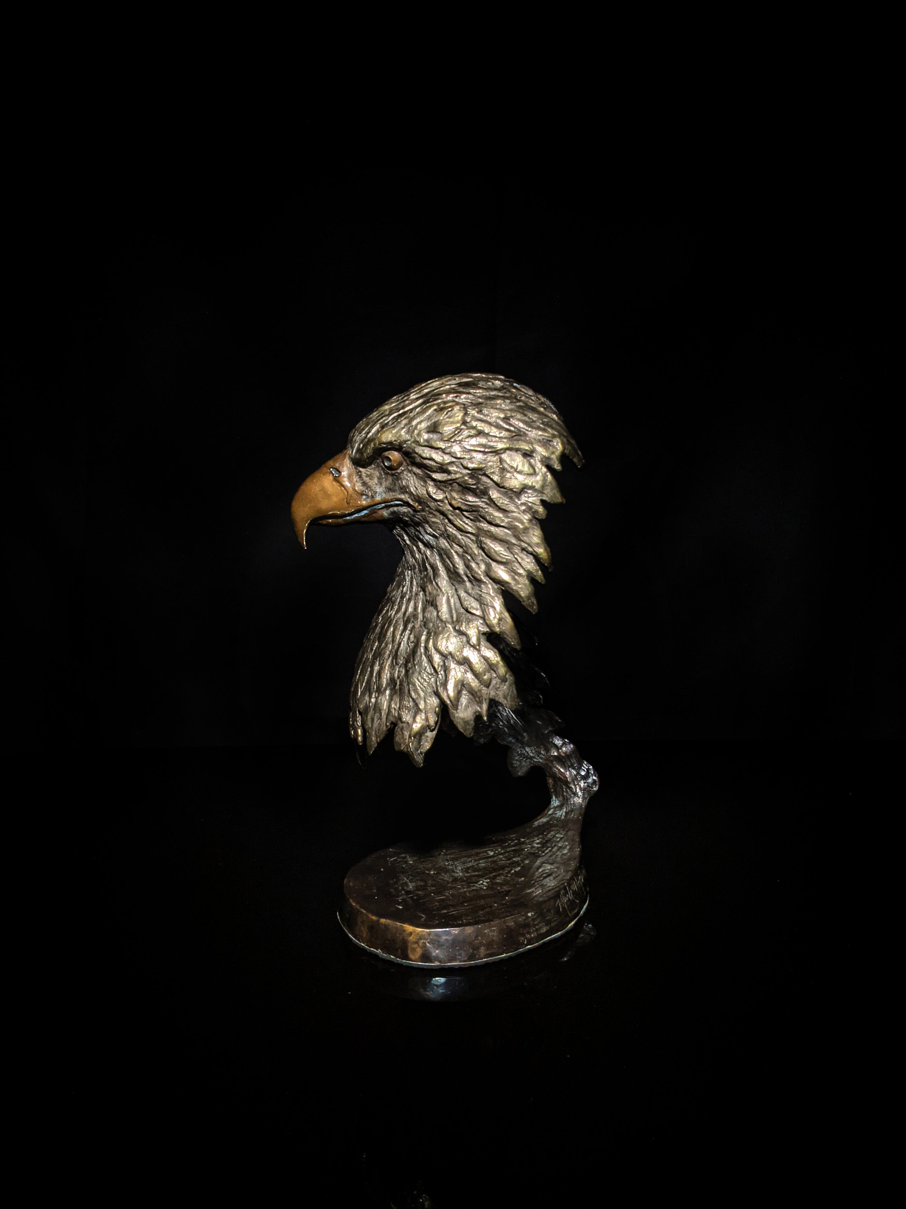 Mark Hopkins bronze Majesty Eagle