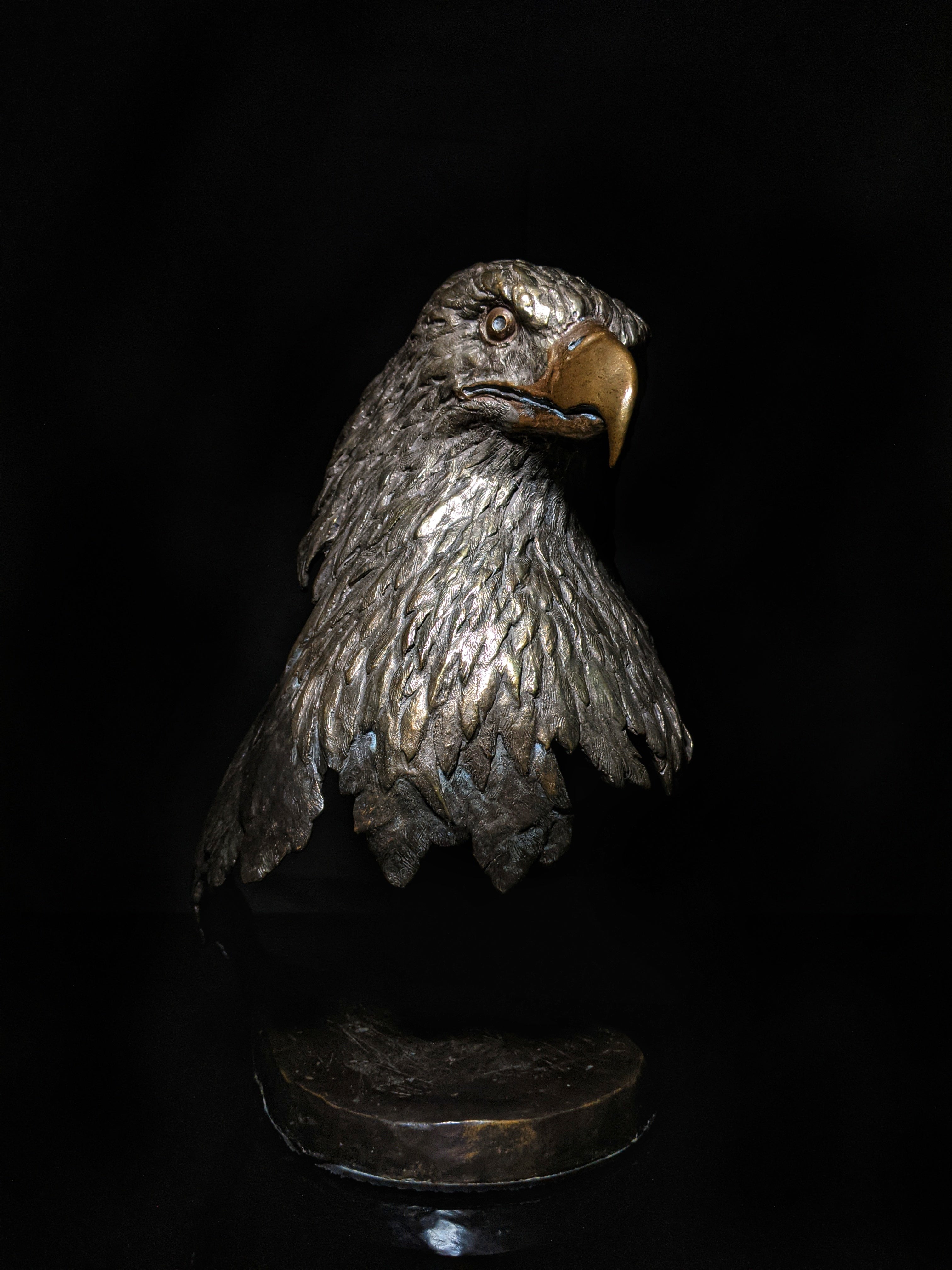 Mark Hopkins bronze Majesty Eagle