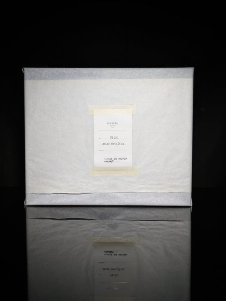Elie Bleu Walnut Wood Humidor 75 count NIB Made in France