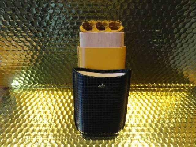 Black & Gold Leather & wood Carrying Case