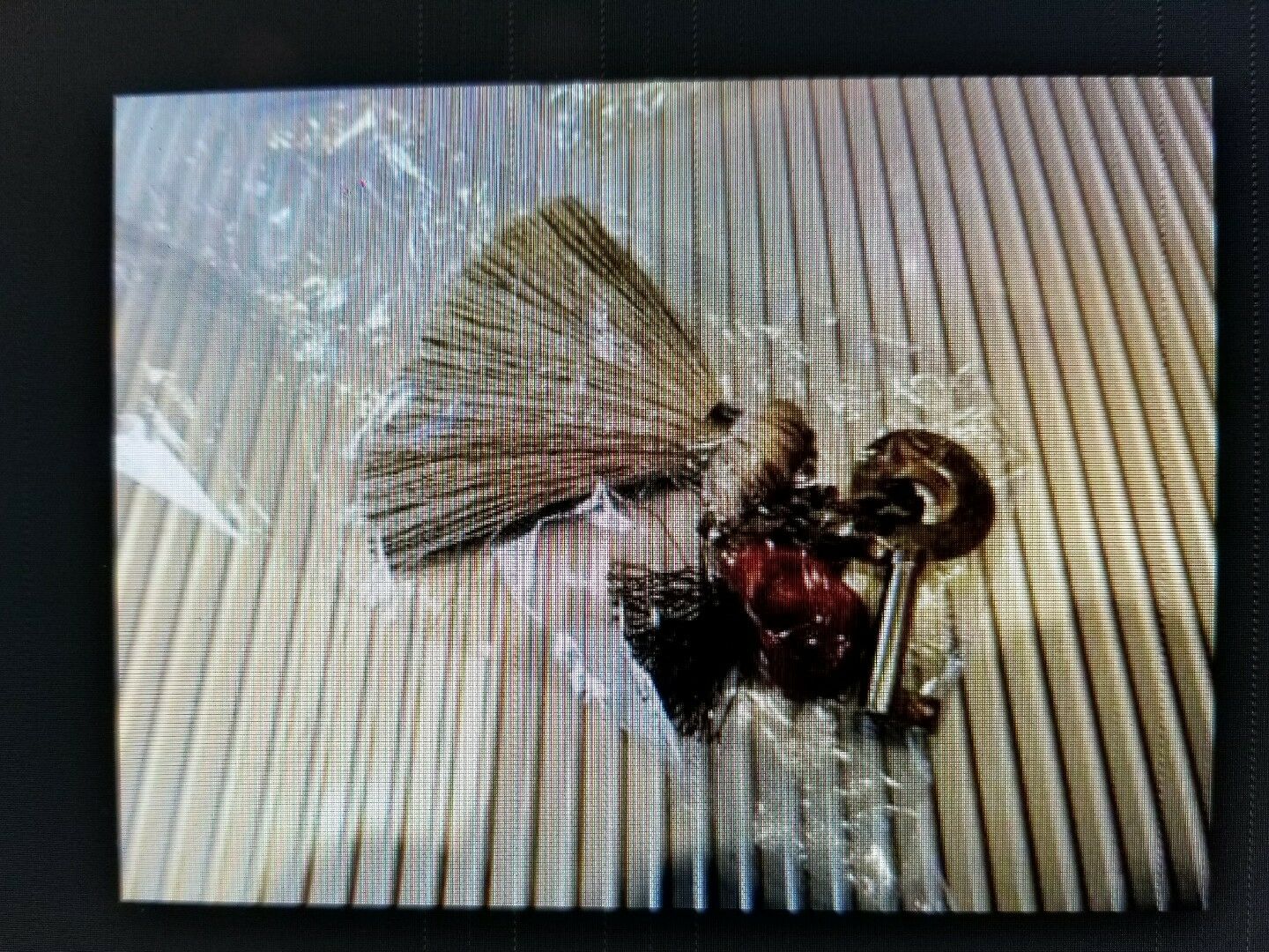 Elie Bleu Gold Plated Original Replacement Humidor Key