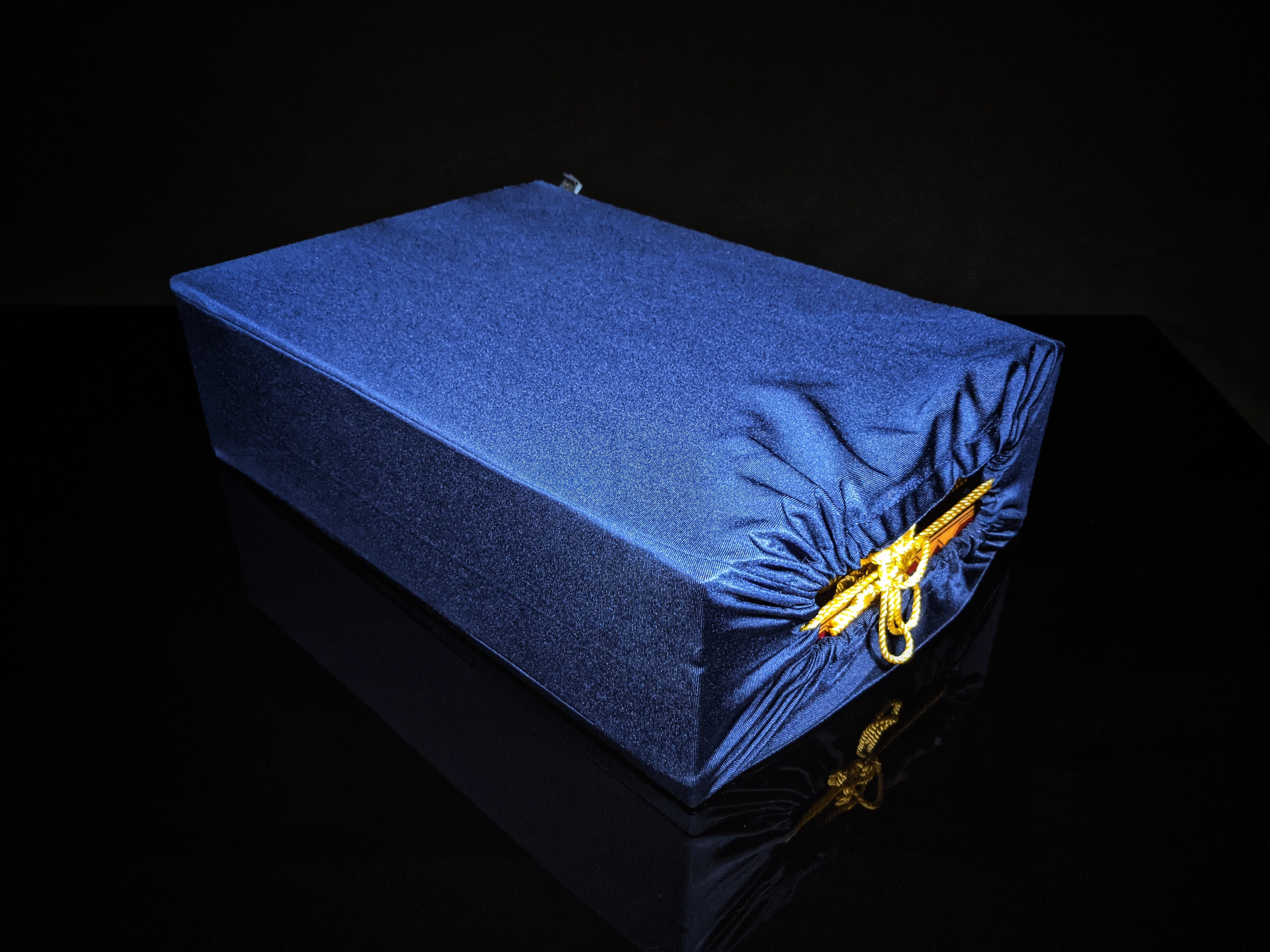 Elie Bleu  Alba Black Sycamore Humidor 110 count NIB Made in France