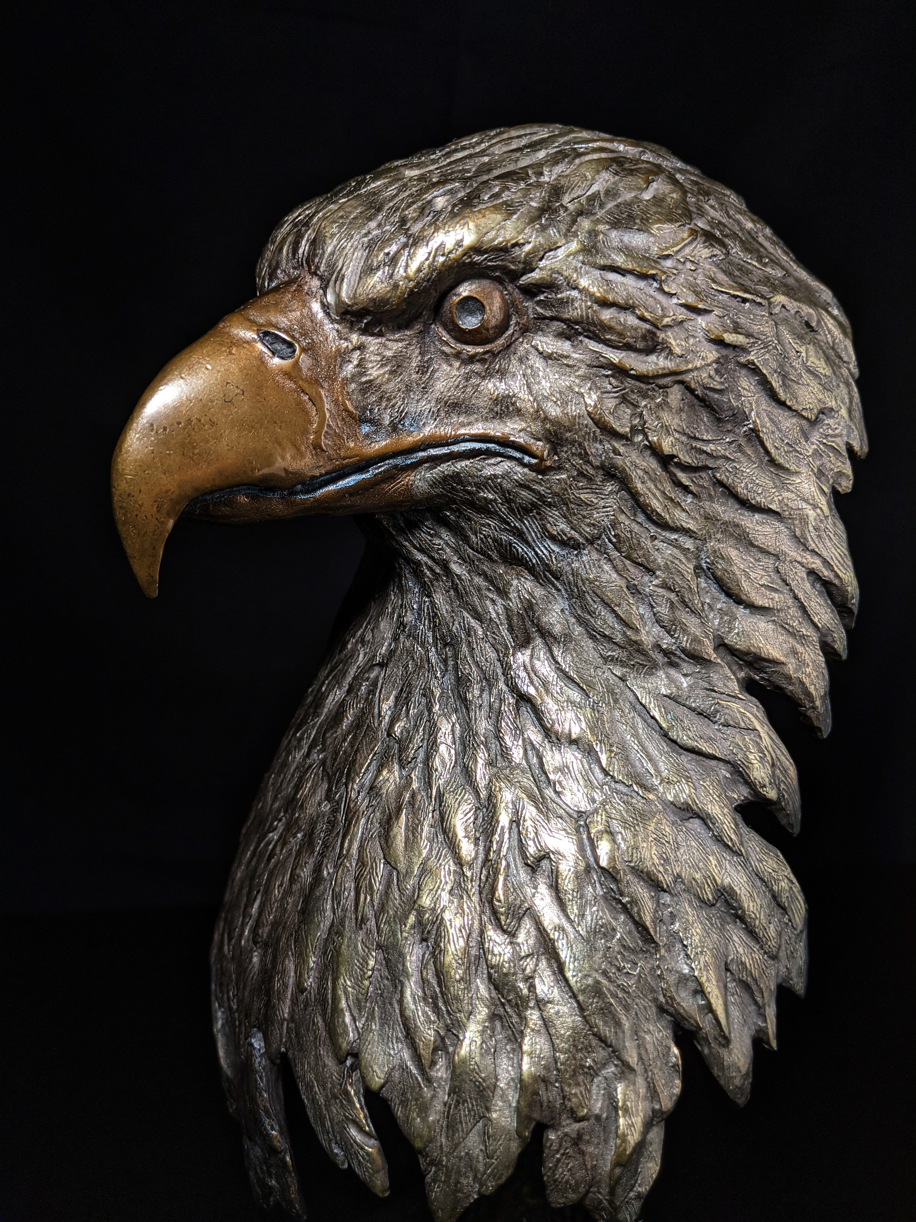 Mark Hopkins bronze Majesty Eagle