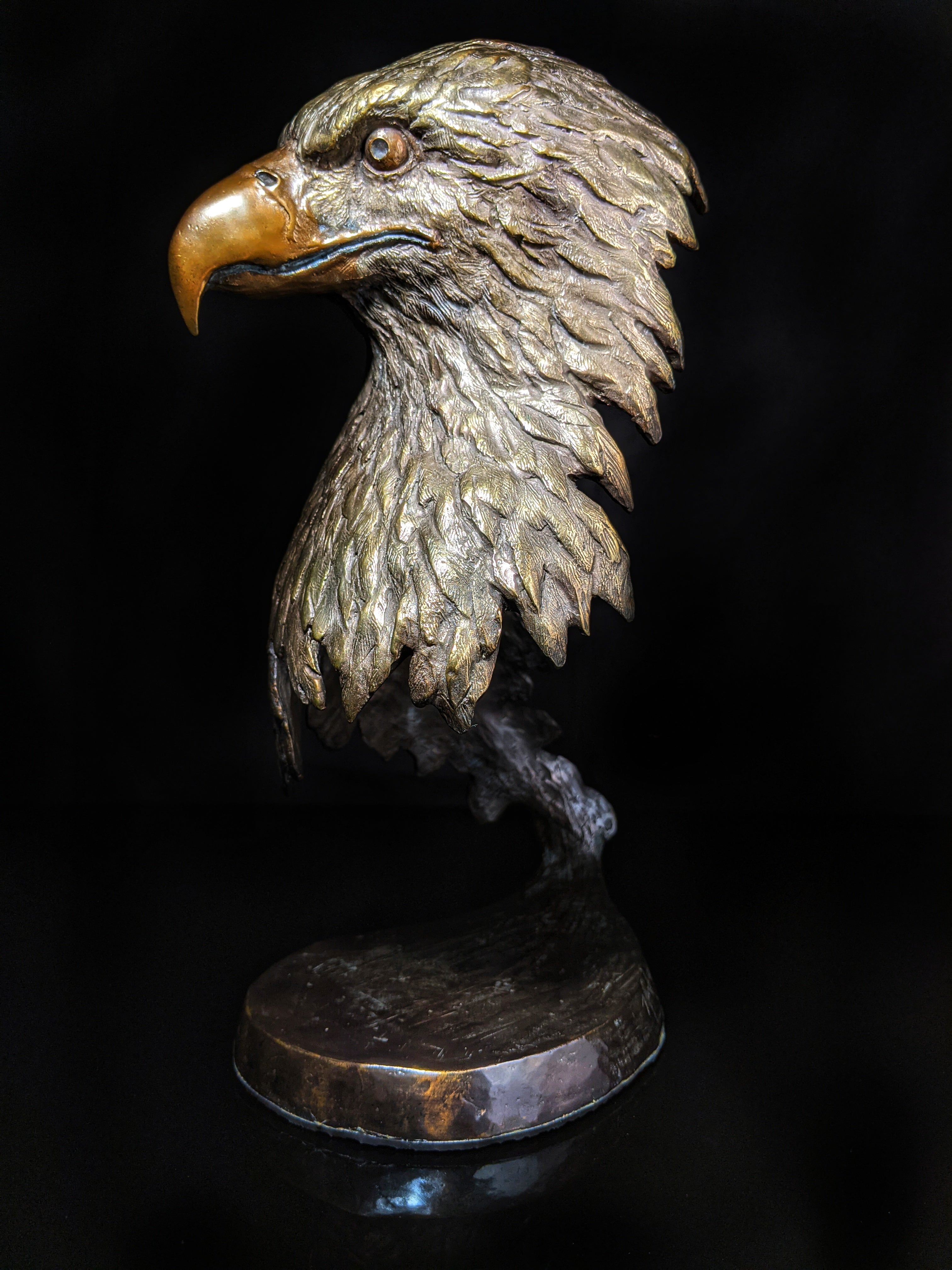 Mark Hopkins bronze Majesty Eagle