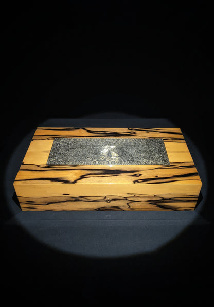 Elie Bleu Think Royal Ebony inlayed with Bronze Skull Limited Edition Humidor 110 count