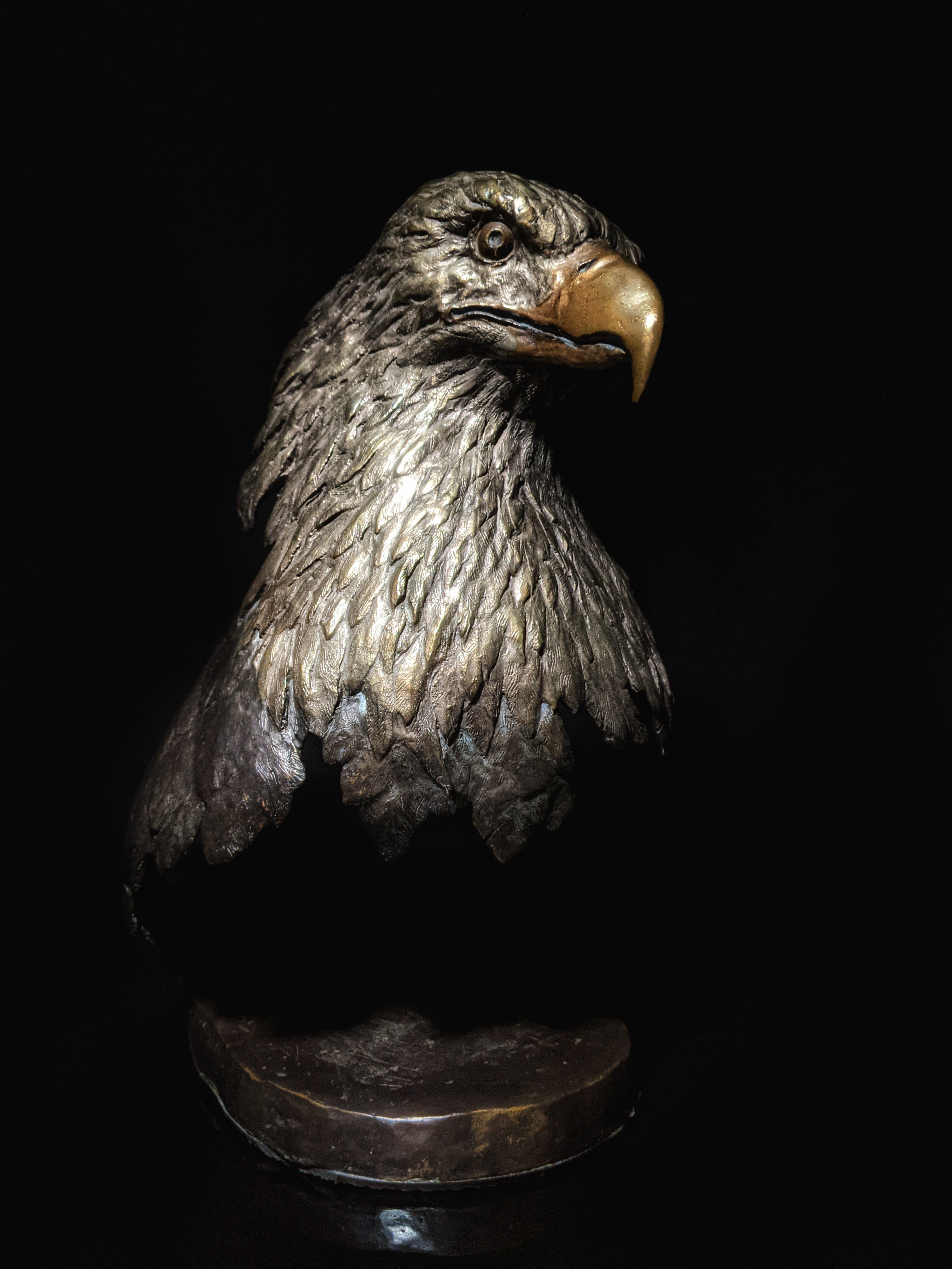 Mark Hopkins bronze Majesty Eagle