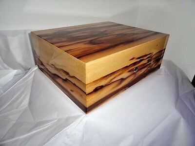 Elie Bleu Samba 110 count humidor