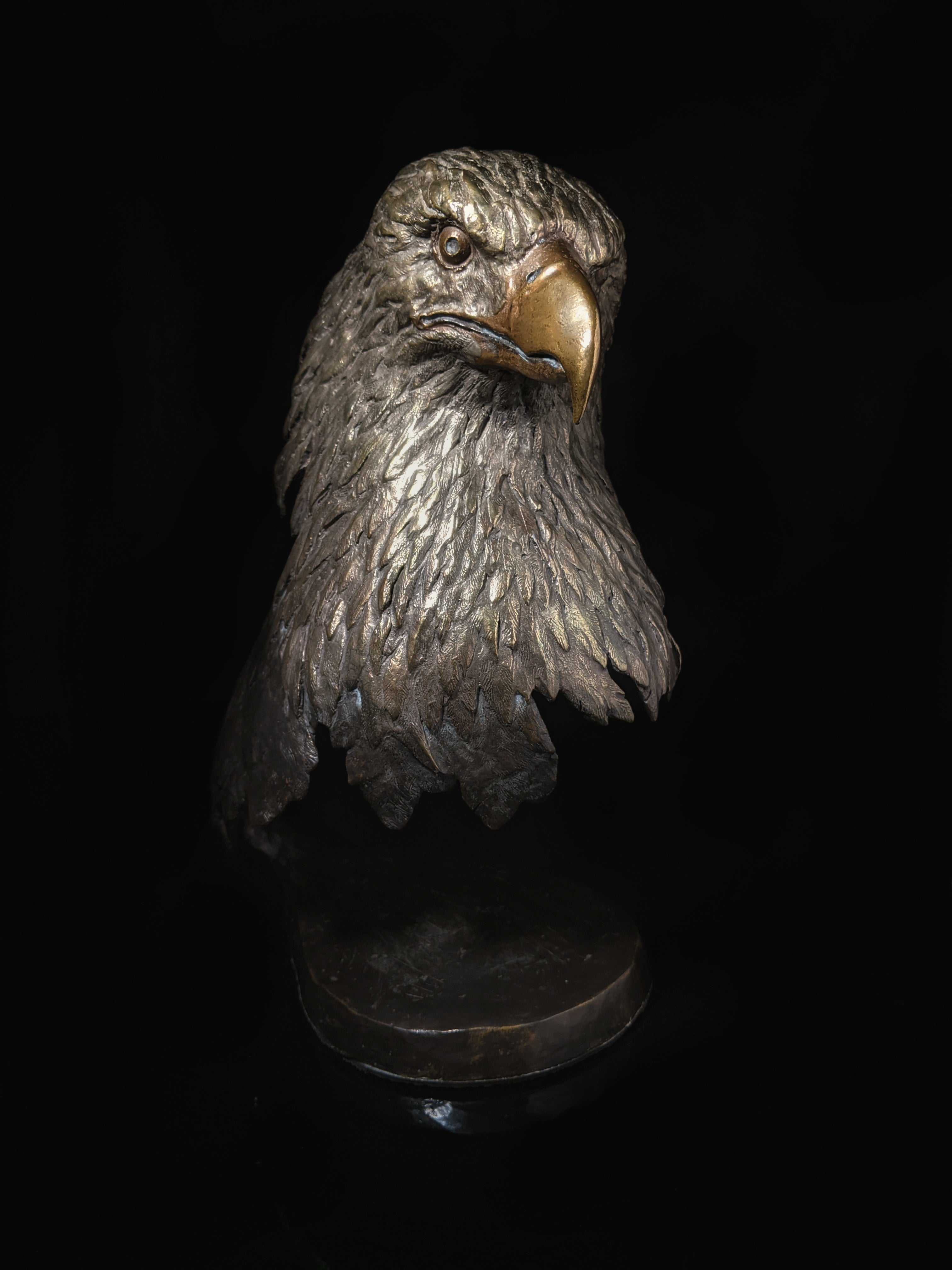 Mark Hopkins Bronze Majesty Eagle